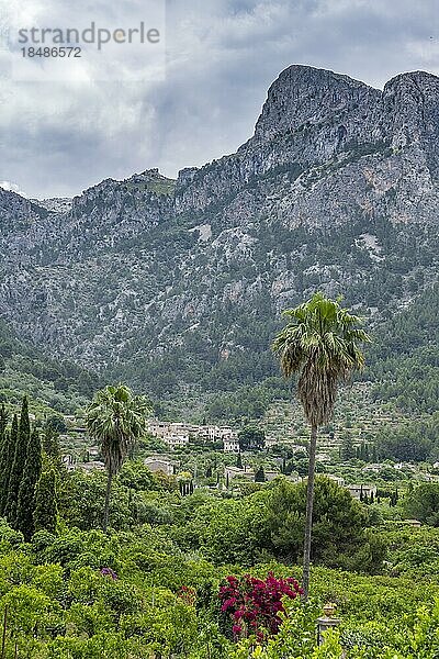 Berglandschaft mit felsigen Berggipfeln  hinten Bergdorf Biniaraix  Wanderweg von Soller nach Fornalutx  Serra de Tramuntana  Mallorca  Balearen  Spanien  Europa