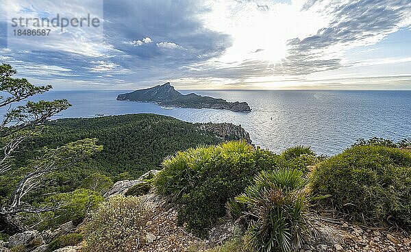 Ausblick auf Berge und Küste mit Meer  im Abendlicht  Wanderung nach La Trapa von Sant Elm  hinten Insel Sa Dragonera  Serra de Tramuntana  Mallorca  Spanien  Europa