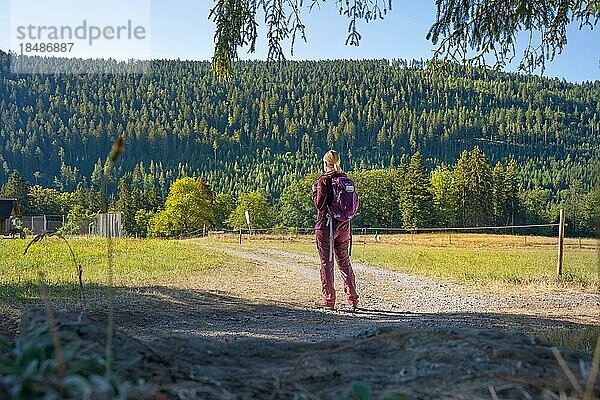 Wandersfrau schaut auf den Wald  Sprollenhäuser Hut  Bad Wildbad  Schwarzwald  Deutschland  Europa