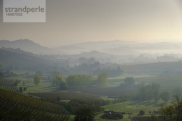 Morgennebel bei Costigliole D´Asti  über die Weinfelder der Langhe  Piemont  Italien  Europa