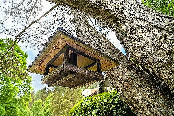 Vogelhaus an Baum im Kurpark  Bad Wildbad  Schwarzwald  Deutschland  Europa