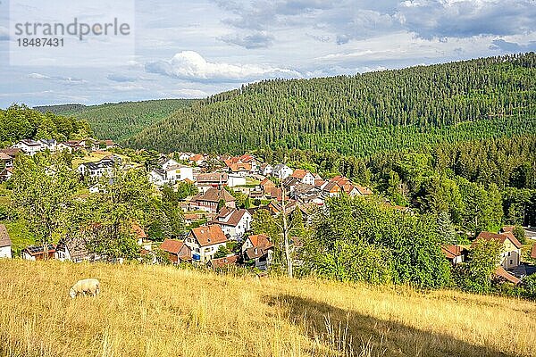 Blick auf den Ort auf der Wanderstrecke Sprollenhäuser Hut  Bad Wildbad  Schwarzwald  Deutschland  Europa