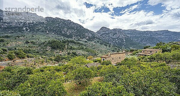 Ausblick auf Gärten mit Orangenbäumen und Fincas  Wanderweg von Soller nach Fornalutx  Serra de Tramuntana  Mallorca  Balearen  Spanien  Europa
