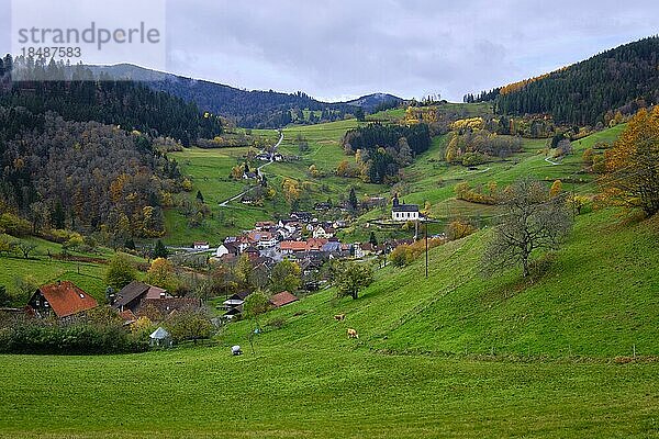 Herbst in Neuenweg im Schwarzwald  Deutschland  Europa