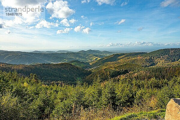 Blick auf den endlosen Wald  Bad Wildbad  Schwarzwald  Deutschland  Europa