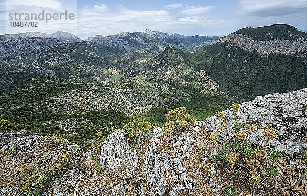 Blick über die Berge der Serra de Tramuntana  Tal von Orient  Castell Alaró  Puig dAlaró  Mallorca  Spanien  Europa