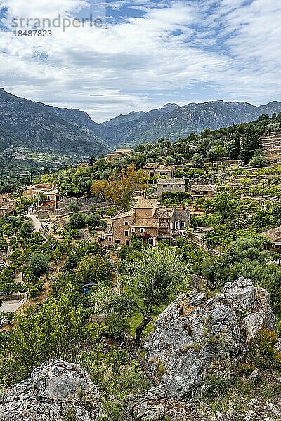 Ausblick auf typische Häuser des Bergdorf Fornalutx mit Berglandschaft  Serra de Tramuntana  Mallorca  Balearen  Spanien  Europa