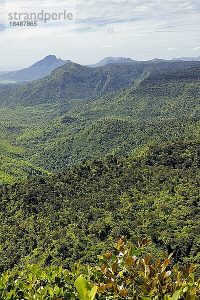 Blick in den Black River Gorges National Park  Südküste  Mauritius  Afrika