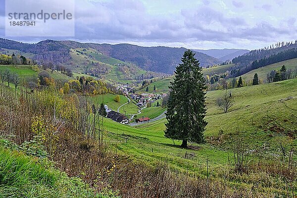 Herbst im südlichen Schwarzwald  Wieden  Deutschland  Europa