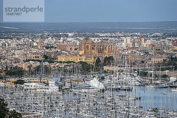 Ausblick über Palma de Mallorca  mit Hafen mit Segelbooten  beleuchtete Kathedrale und Königspalast La Almudaina  blaue Stunde  Palma de Mallorca  Mallorca  Balearen  Spanien  Europa