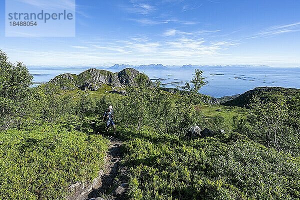 Wanderer auf Wanderweg zum Dronningsvarden oder Stortinden  Ausblick auf Meer  Vesterålen  Norwegen  Europa