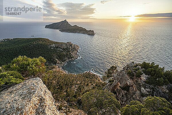 Ausblick auf Berge und Küste mit Meer  bei Sonnenuntergang  Wanderung nach La Trapa von Sant Elm  hinten Insel Sa Dragonera  Serra de Tramuntana  Mallorca  Spanien  Europa