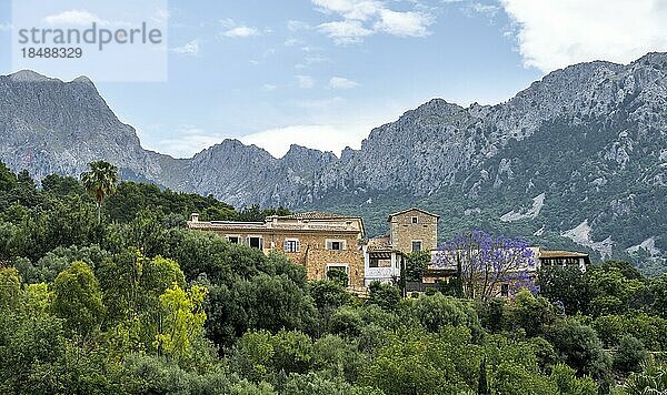 Typische Häuser des Bergdorfes Binibassí  Ausblick auf felsige Berge  Wanderweg von Soller nach Fornalutx  Serra de Tramuntana  Mallorca  Balearen  Spanien  Europa