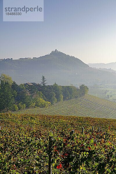 Morgennebel bei Costigliole D´Asti  über die Weinfelder der Langhe  Piemont  Italien  Europa