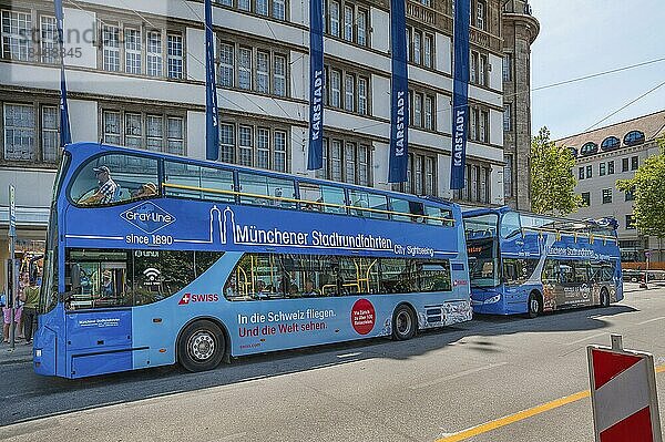 Busse  Münchner Stadtrundfahrten  City Sightseeing  München  Bayern  Deutschland  Europa