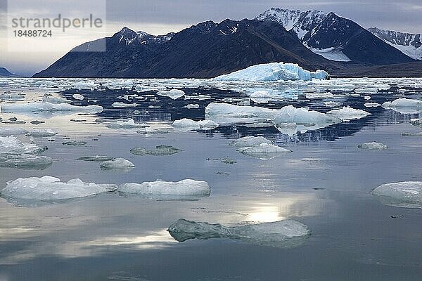 Eisscholle und schwimmender Eisberg im Lilliehookfjorden  Svalbard  Spitzbergen  Norwegen  Europa