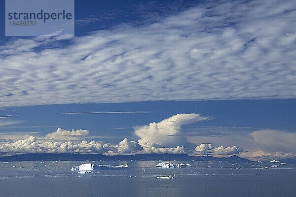 Eisberge im Kangia Eisfjord  Diskobucht  Westgrönland  Grönland  Nordamerika