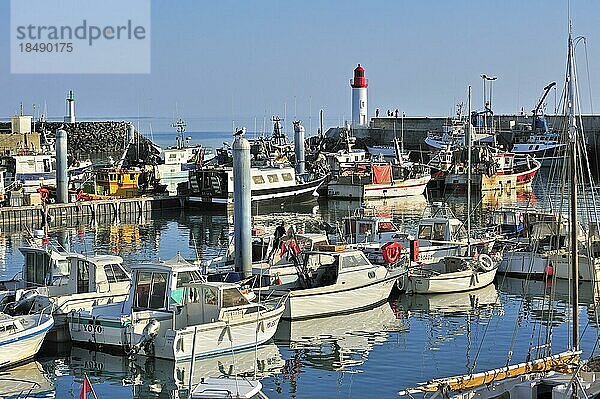 Fischerboote im Hafen von La Cotinière auf der Insel Ile dOléron  Charente Maritime  Frankreich  Europa