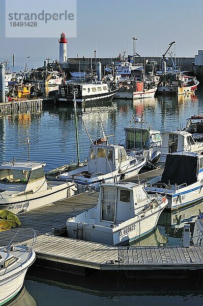 Fischerboote im Hafen von La Cotinière auf der Insel Ile dOléron  Charente Maritime  Frankreich  Europa