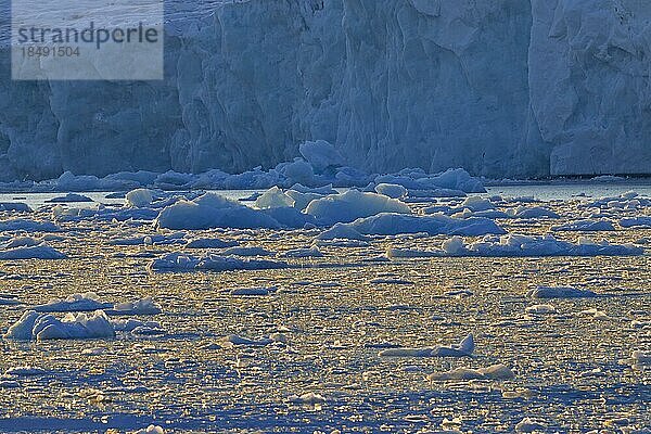 Vom Lilliehöökbreen Gletscher gekalbte Eisschollen  die im Lilliehöökfjorden  einem Fjordarm des Krossfjords in Albert I Land  Spitzbergen  Svalbard  Norwegen  treiben  Europa