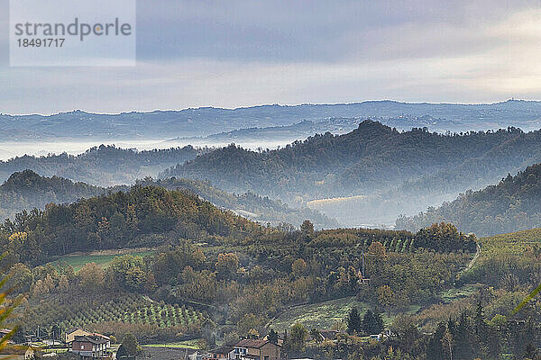 Hügel und Weinberge der Langhe  UNESCO-Welterbe  an einem Herbsttag  Alba  Langhe  Bezirk Cuneo  Piemont  Italien  Europa