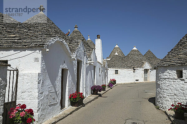 Weiß getünchte Trulli-Häuser entlang der Straße in der Altstadt  Alberobello  UNESCO-Weltkulturerbe  Apulien  Italien  Europa