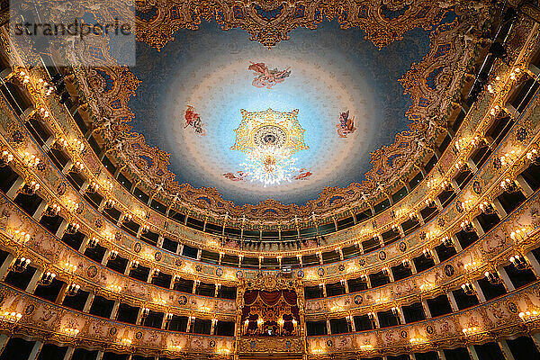 Logenplätze  Innenraum des Gran Teatro La Fenice  Venezia (Venedig)  Venetien  Italien  Europa