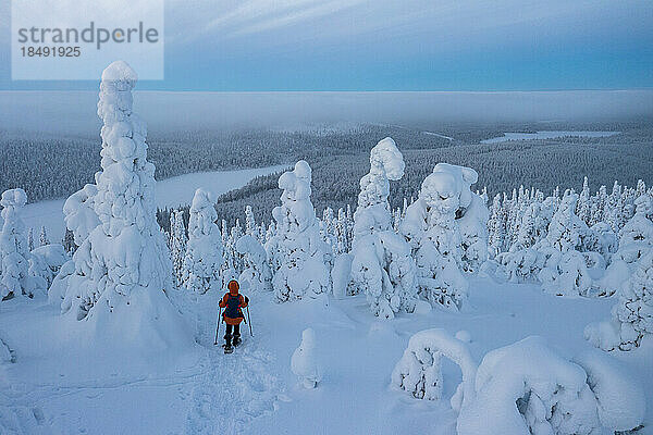 Luftaufnahme einer Frau beim Schneeschuhwandern in einem schneebedeckten Wald in der Dämmerung  Oulanka-Nationalpark  Ruka Kuusamo  Lappland  Finnland  Europa