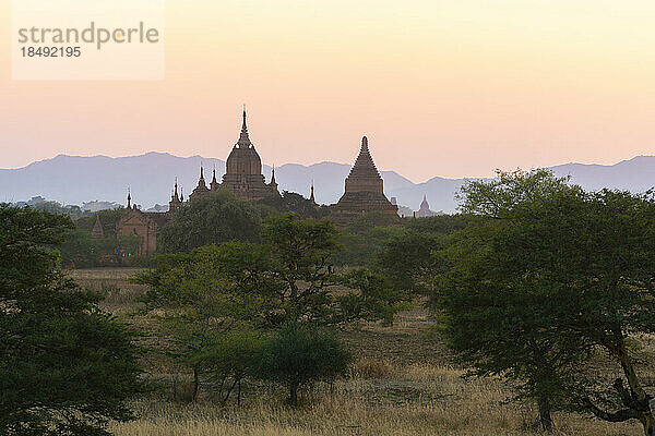 Pagoden in der Abenddämmerung  Bagan (Pagan)  UNESCO-Weltkulturerbe  Myanmar (Burma)  Asien