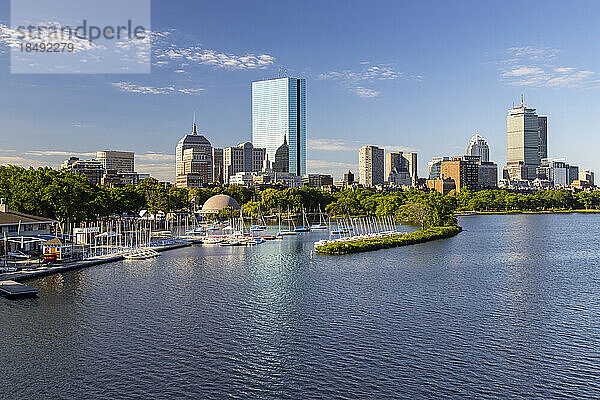 Sommermorgen an der Charles River Esplanade  Boston  Massachusetts  Neuengland  Vereinigte Staaten von Amerika  Nordamerika