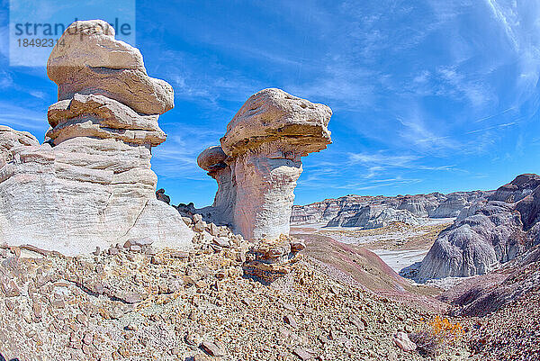 Ein Paar von Hoodoo-Formationen in der Nähe des Red Basin  genannt Red Basin Gnomes  Petrified Forest National Park  Arizona  Vereinigte Staaten von Amerika  Nordamerika