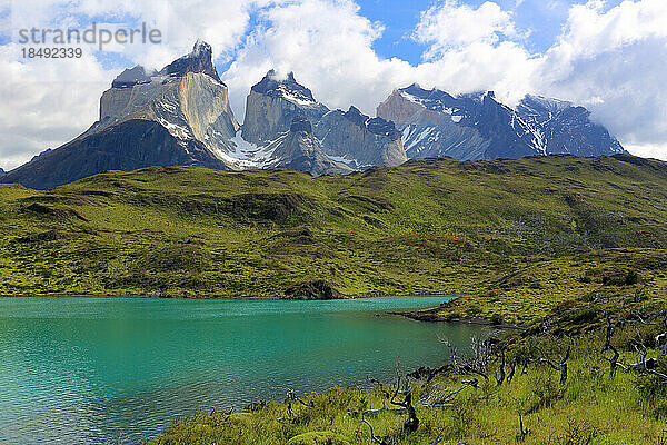 Torres del Paine National Park  Patagonien  Chile  Südamerika