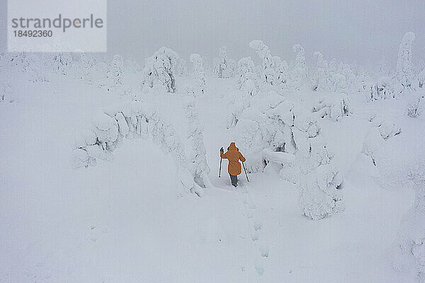Frau geht im tiefen Schnee unter dem nebligen Himmel in der gefrorenen Landschaft des Riisitunturi-Nationalparks  Posio  Lappland  Finnland  Europa