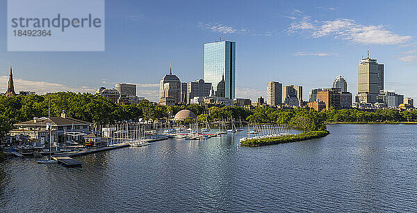 Sommermorgen an der Charles River Esplanade  Boston  Massachusetts  Neuengland  Vereinigte Staaten von Amerika  Nordamerika