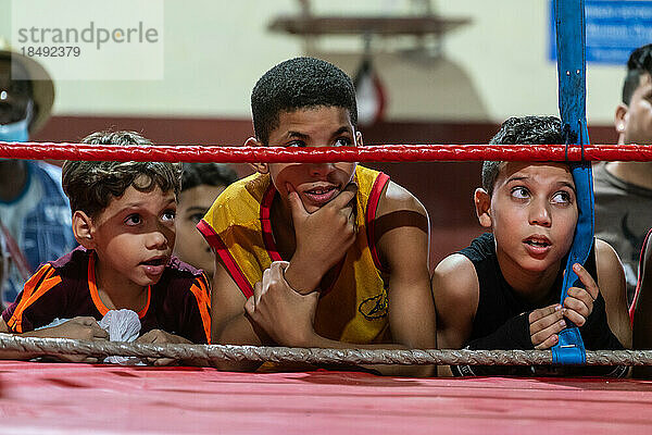 Junge Nachwuchshoffnungen  Box-Akademie Trejo  Havanna  Kuba  Westindien  Karibik  Mittelamerika