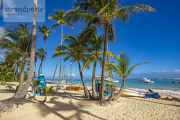 Blick auf Meer  Strand und Palmen an einem sonnigen Tag  Bavaro Beach  Punta Cana  Dominikanische Republik  Westindien  Karibik  Mittelamerika