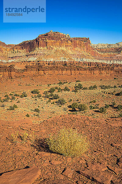 Whiskey Flat Felsformation an einem sonnigen Tag  Capitol Reef National Park  Utah  Westliche Vereinigte Staaten  Vereinigte Staaten von Amerika  Nordamerika