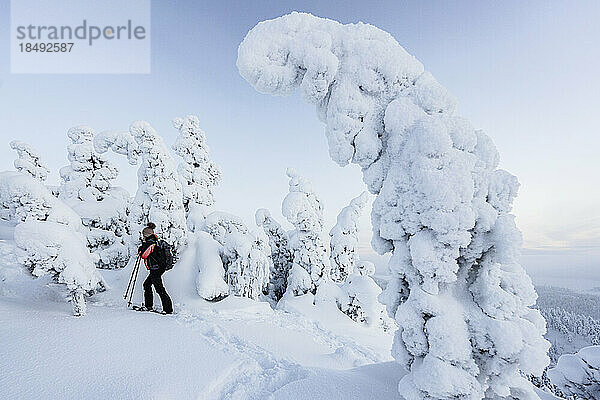 Mittlere erwachsene Frau mit Schneeschuhen  die in Schnee gehüllte Eisskulpturen betrachtet  Oulanka-Nationalpark  Ruka Kuusamo  Lappland  Finnland  Europa