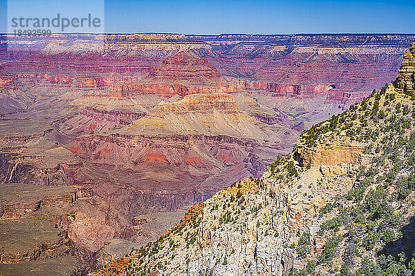 Blick auf den Grand Canyon vom South Kaibab Trail  Grand Canyon National Park  UNESCO-Weltkulturerbe  Arizona  Vereinigte Staaten von Amerika  Nordamerika