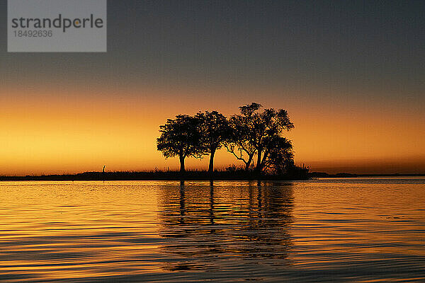 Sonnenuntergang am Chobe-Fluss  Chobe-Nationalpark  Botsuana  Afrika