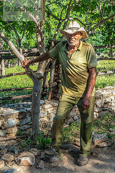 Landarbeiter macht eine Pause auf einer Farm in der Nähe von Trinidad  Kuba  Westindien  Karibik  Mittelamerika