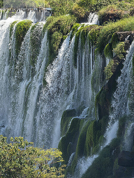 Ein Blick vom unteren Kreislauf der Iguazu-Wasserfälle  UNESCO-Weltkulturerbe  Provinz Misiones  Argentinien  Südamerika