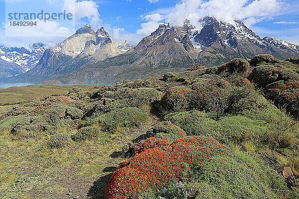 Torres del Paine National Park  Patagonien  Chile  Südamerika