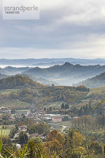 Hügel und Weinberge der Langhe  UNESCO-Welterbe  an einem Herbsttag  Alba  Langhe  Bezirk Cuneo  Piemont  Italien  Europa