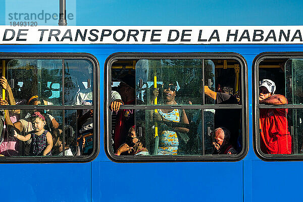 Menschen in einem überfüllten Linienbus durch Fenster gesehen  Havanna  Kuba  Westindien  Karibik  Mittelamerika