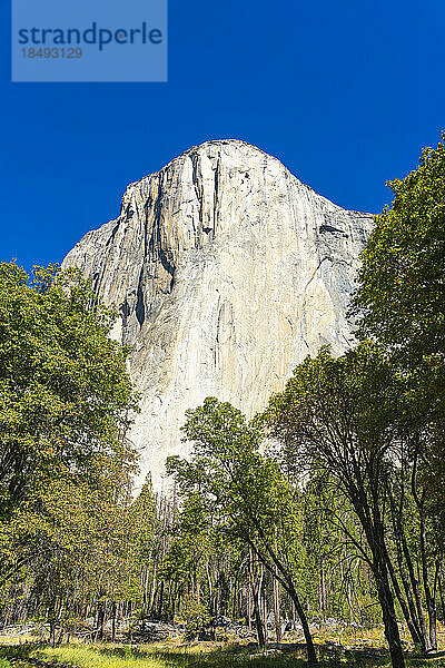 El Capitan-Granitfelsformation  Yosemite-Nationalpark  UNESCO-Welterbe  Kalifornien  Vereinigte Staaten von Amerika  Nordamerika