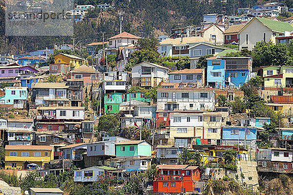 Bunte Häuser in der Stadt an einem sonnigen Tag  Valparaiso  Chile  Südamerika