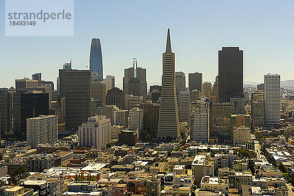 Skyline von San Francisco  dominiert von der Transamerica Pyramid  gesehen vom Coit Tower  San Francisco  Kalifornien  Vereinigte Staaten von Amerika  Nordamerika