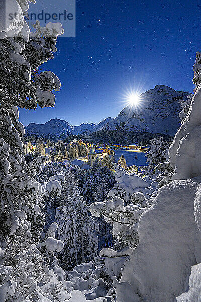 Gefrorene  schneebedeckte Bäume auf den Bergen über der Chiesa Bianca  beleuchtet vom Mond  Maloja  Bergell  Engadin  Kanton Graubünden  Schweiz  Europa