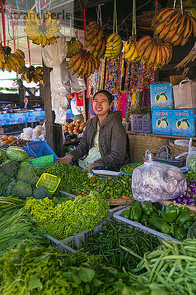 Porträt einer burmesischen Frau auf einem lokalen Markt  Inle-See  Shan-Staat  Myanmar (Burma)  Asien